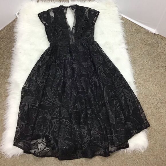 Saulee Alyssa Embroiled Mesh Fit &Flare Midi Dress - Picture 2 of 8